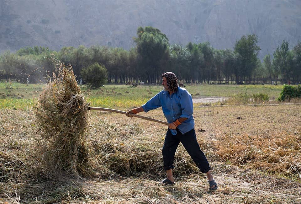 Members of the vegetable production group work in the fields in Karkhar. Photo: Nava Jamshidi/Concern Worldwide